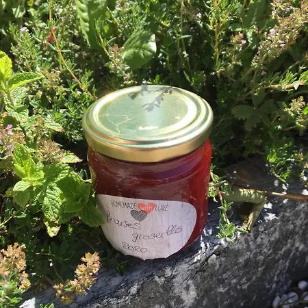 La Forge De Diogne - Luxury And Cosy Alpine