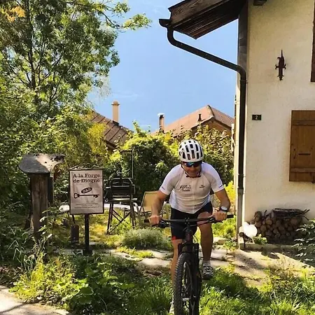 Bed and Breakfast La Forge De Diogne - Luxury And Cosy B&B Alpine Lodge Κρανς Μοντάνα