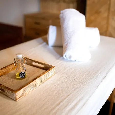 La Forge De Diogne - Luxury And Cosy B&B Alpine Lodge 4* Κρανς Μοντάνα