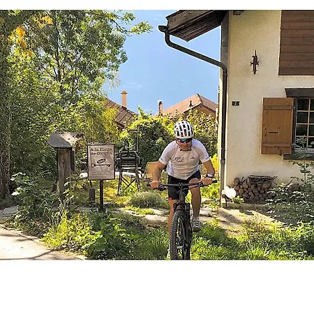 La Forge De Diogne - Luxury And Cosy B&B Alpine Lodge Bed and Breakfast