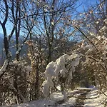 La Forge De Diogne - Luxury&cosy Alpine 4* Crans-Montana